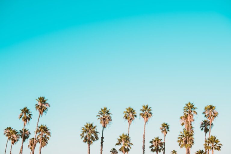 Setting Expectations for Salesforce Talent