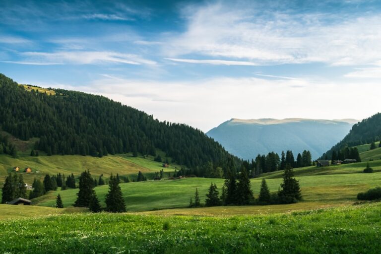 Boost Your Salesforce Team with Staff Augmentation