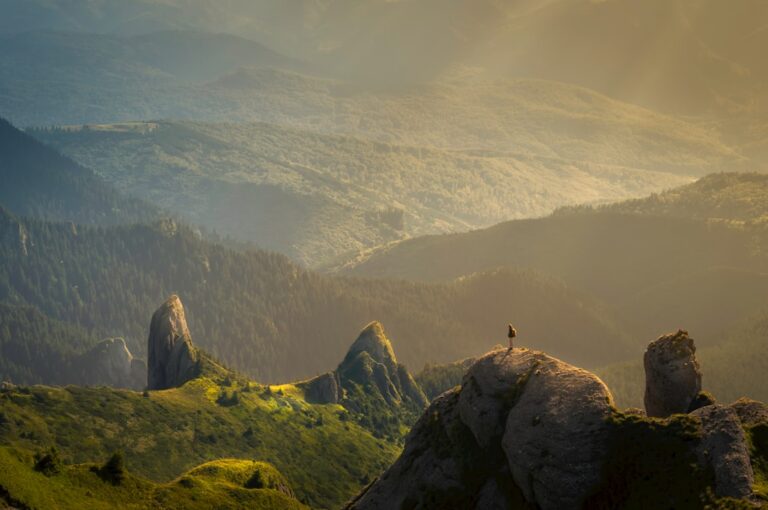 Maximizing Salesforce Cloud Projects with Staff Augmentation